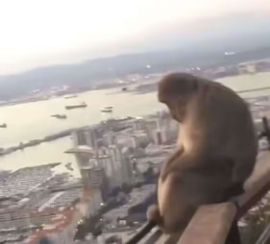 想让我破防抽可燃点是吧😡就不抽😋 2