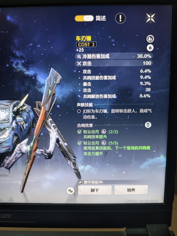 搞那么多伤害干啥，辅助装截图