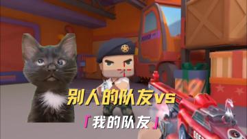 你更喜欢哪种队友呢？