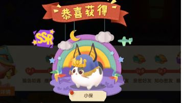 猫咪公寓第102天——邂逅小保💕