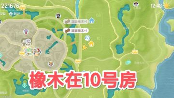 6.9心动小镇萤石溜溜橡木具体位置