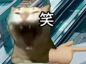 来我看看还有谁没有鲨鱼妹 2