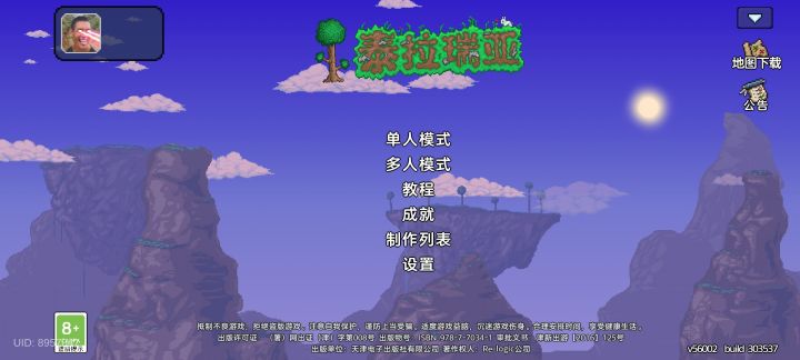 泰拉瑞亚截图
