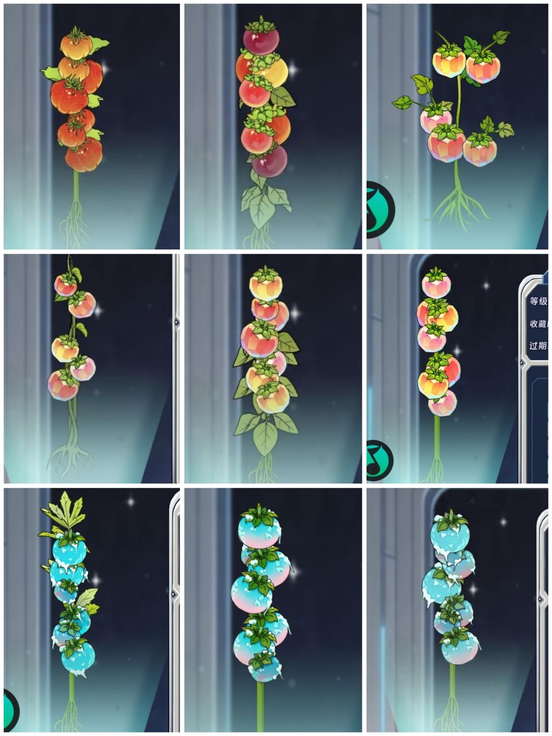 🍅 1
