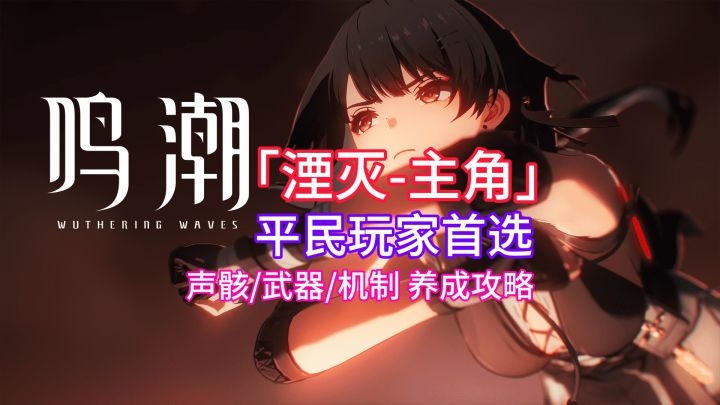 【鸣潮】开服造神湮灭大C!平民之友!T0榜首!平民养成攻略!截图