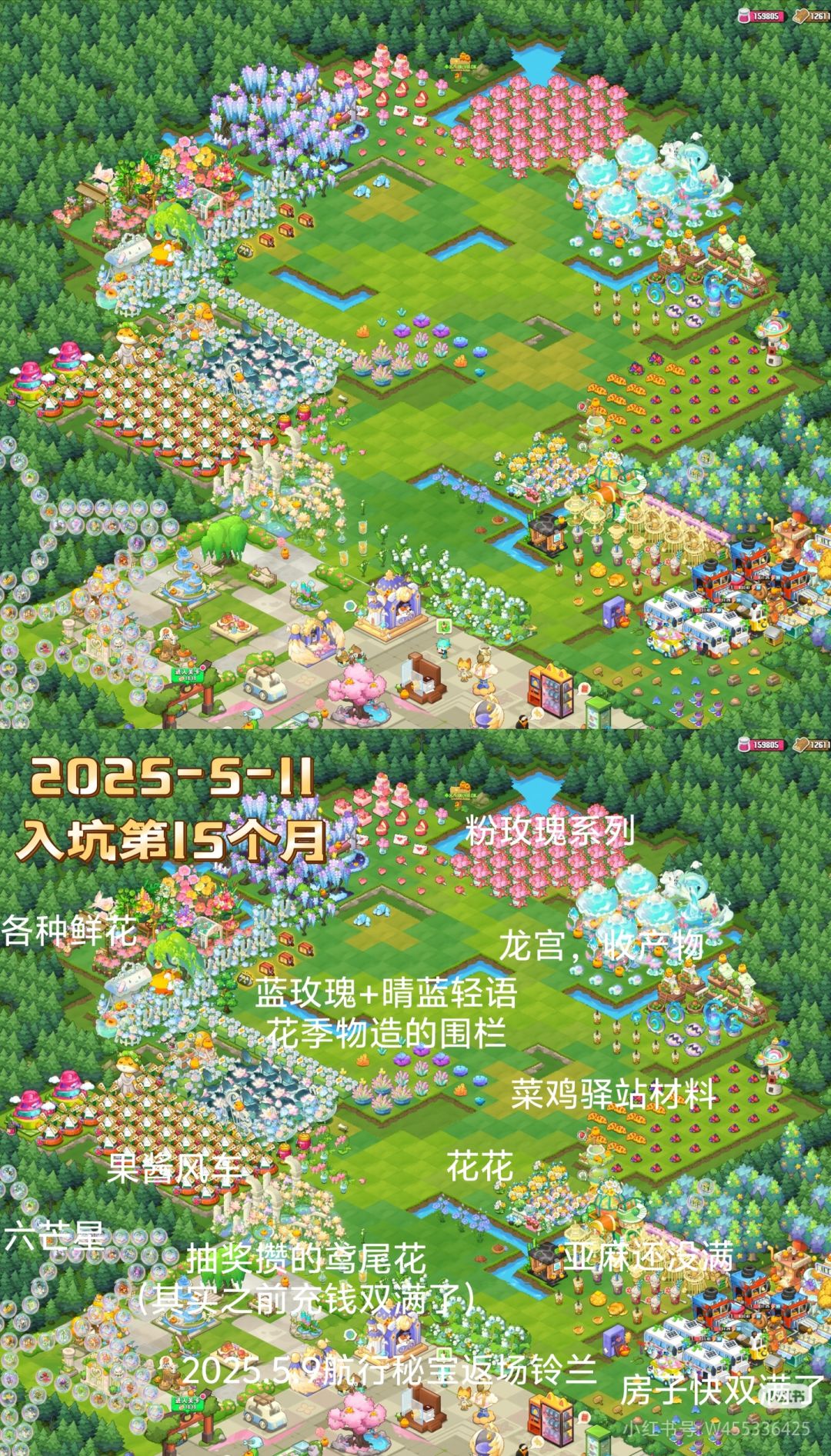 没想到吧,我还在玩小森灵,快俩年半了 3