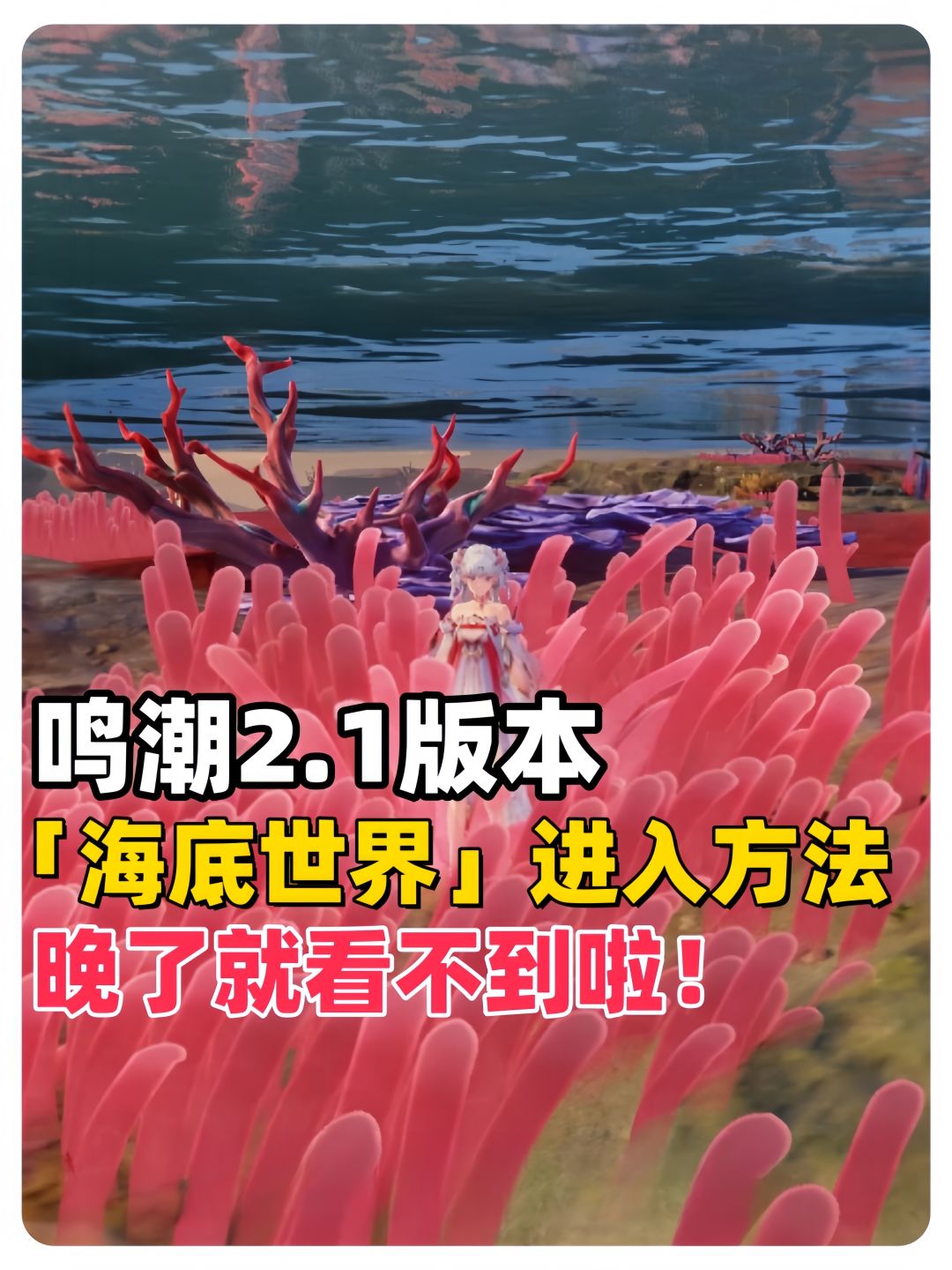 鸣潮2.1版本"海底世界"进入方法，晚了就看不到啦~截图
