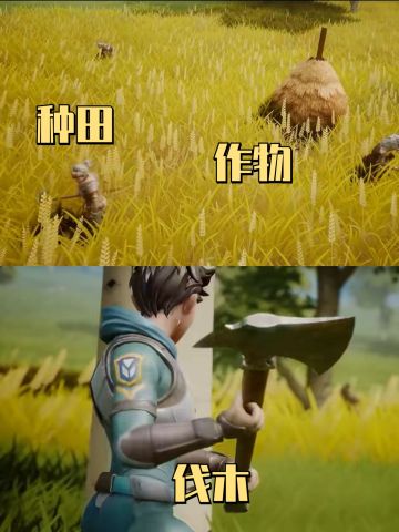 🌟砍树种田，篝火晚会🌟