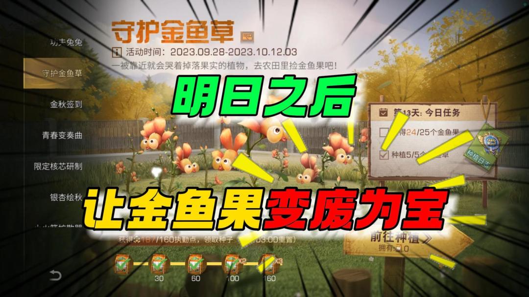 video-3723637