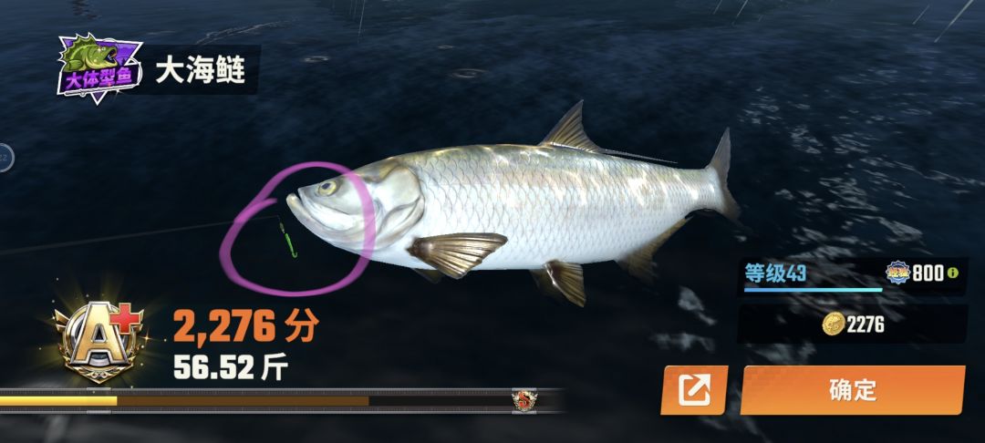 建模没弄好呀策划 1