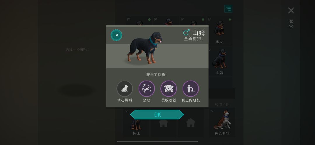 合出了一只朋友狗 1