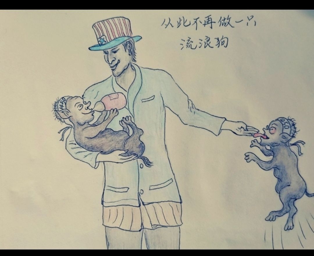 为什么我没有论坛等级 2