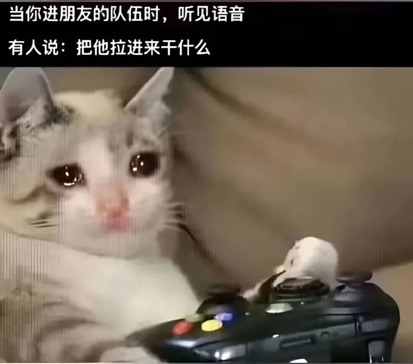 ✨今日份梗图分享第三十四期✨ 1