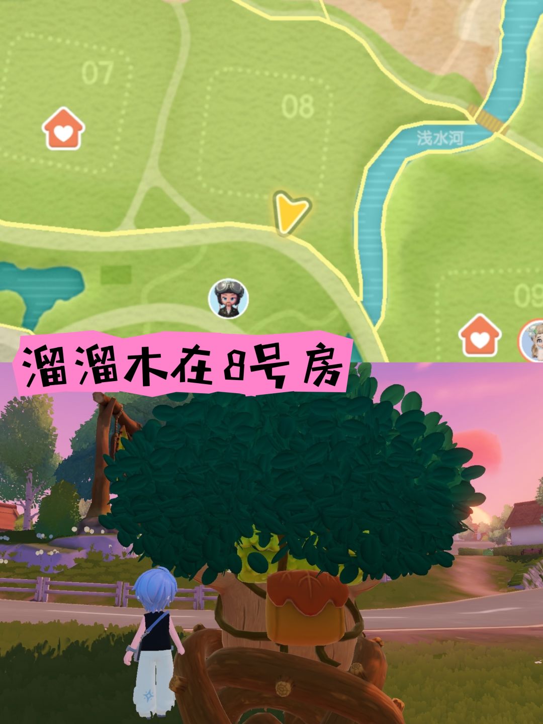 动态图片 4