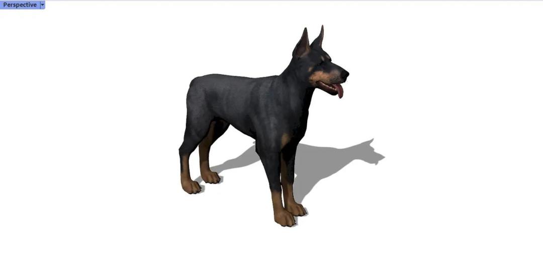 投稿宠物类型物品 宠物犬 3