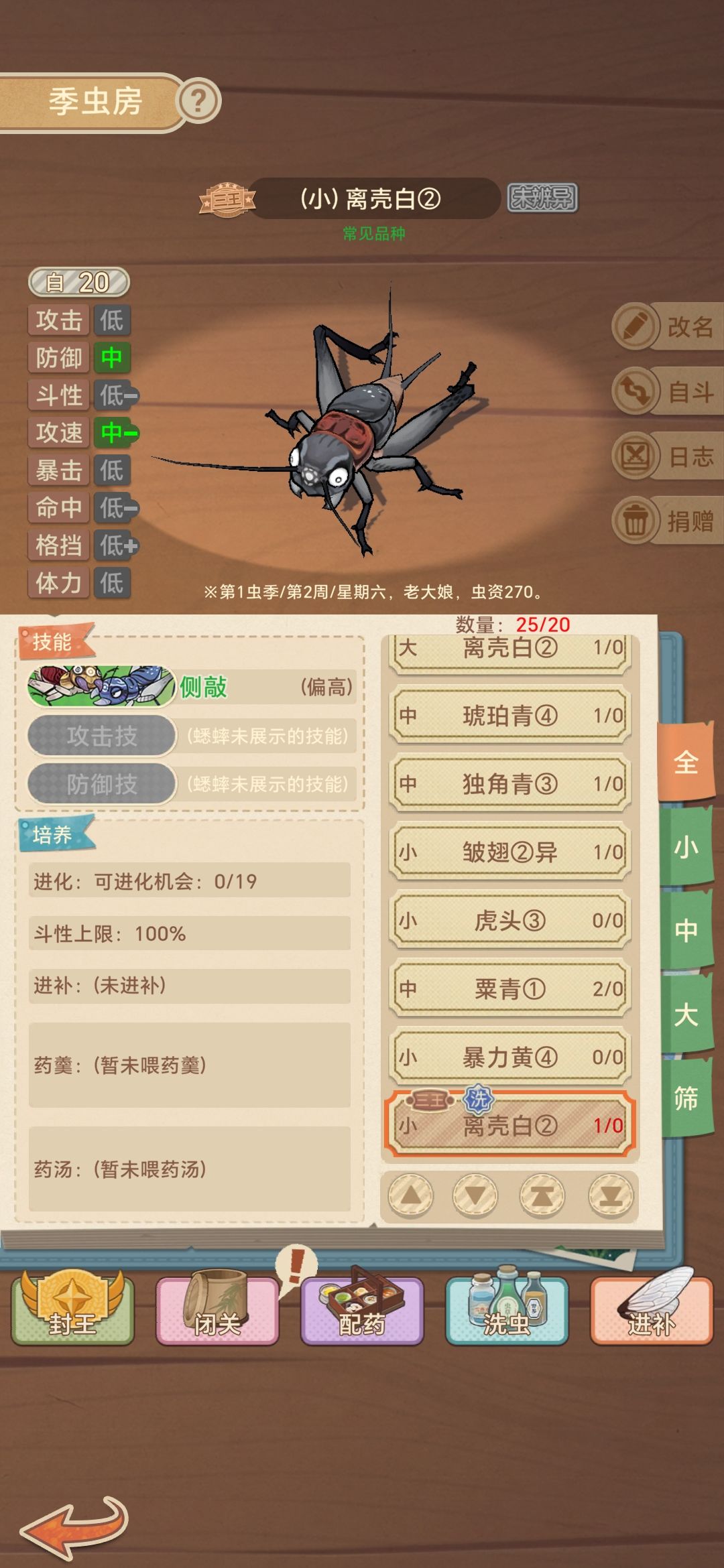 老大娘应该是手游最好的活动 1