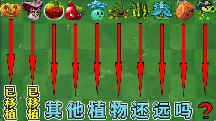 植物大战僵尸2:下一株移植的植物是谁?截图
