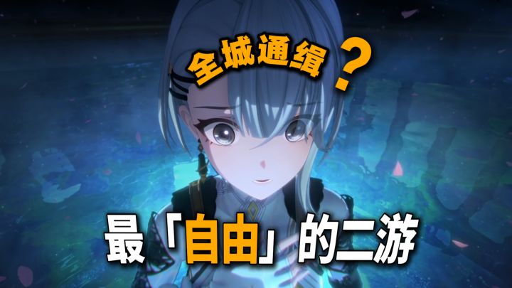 最【自由】的二游?上通缉榜单，被全城卫兵追击！截图