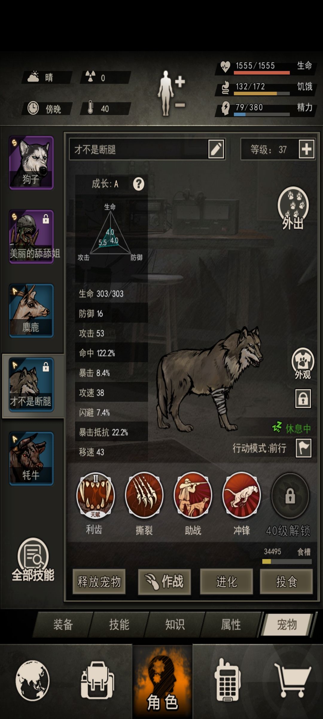 两箱s狗子，可以主养吗？比断腿好吗？ 2