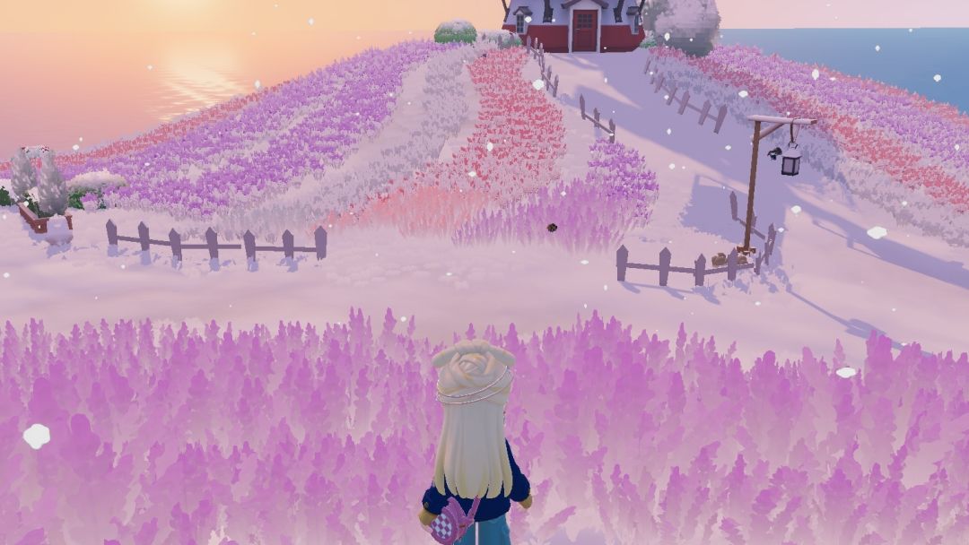 下雪喽，冬天你好 5