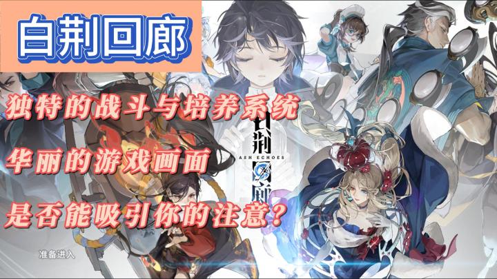 《白荆回廊》:独特的战斗与培养机制能否讨得玩家欢心?截图