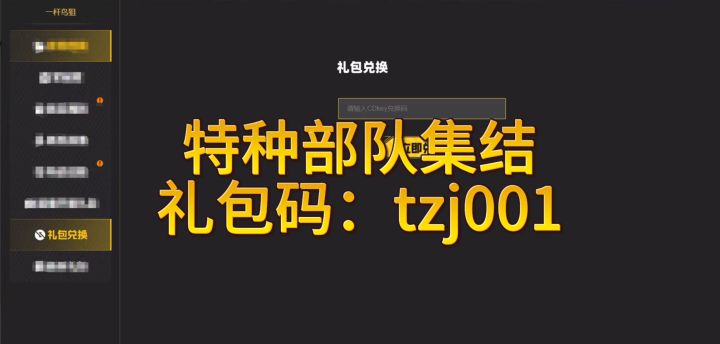 特种部队集结礼包码:tzj001截图