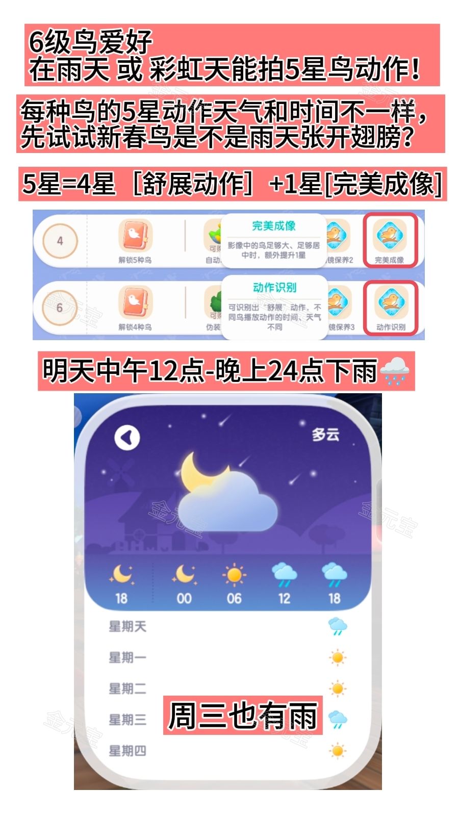 明天雨天!新春鸟可能5星! 2