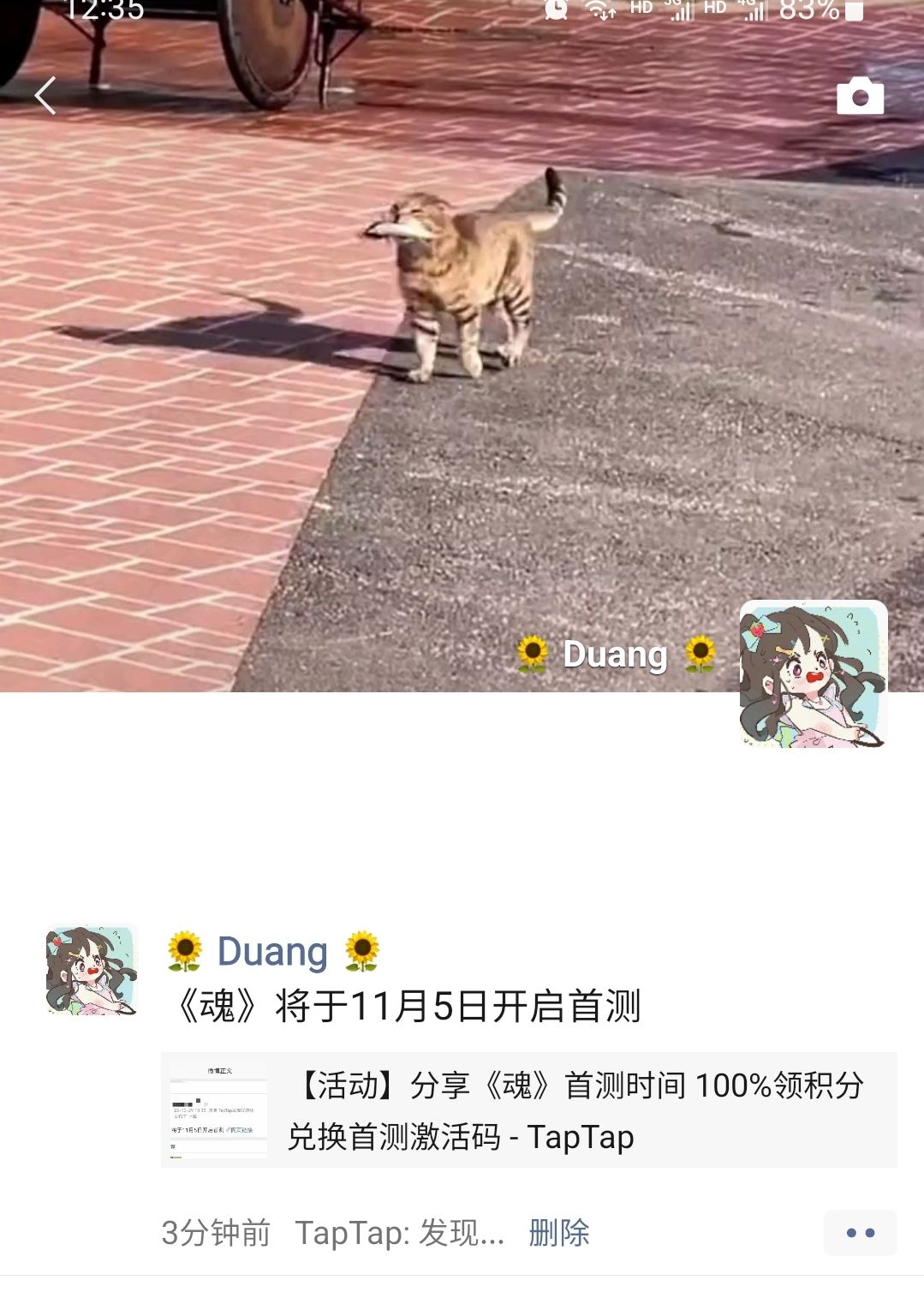动态图片 6
