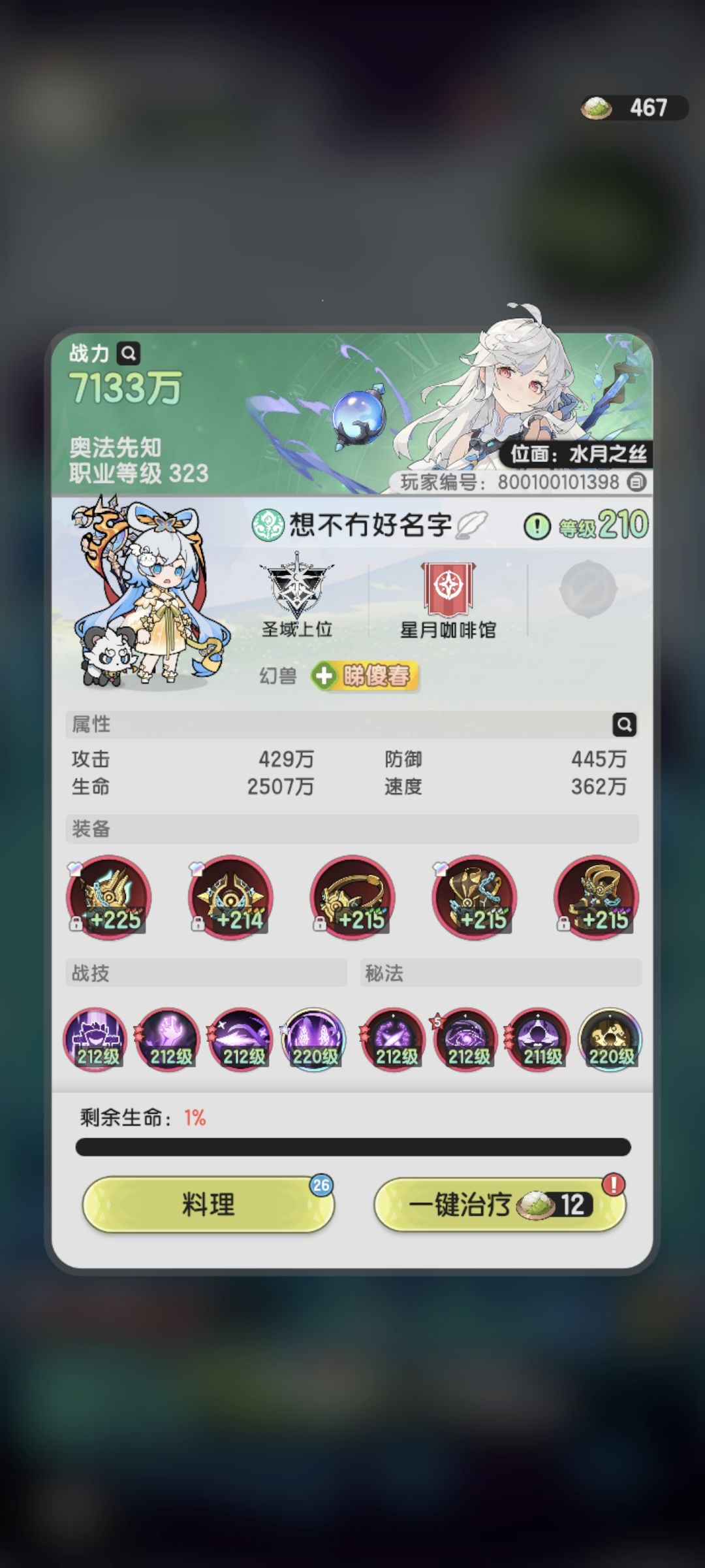 贤者过失重幽灵8990 2