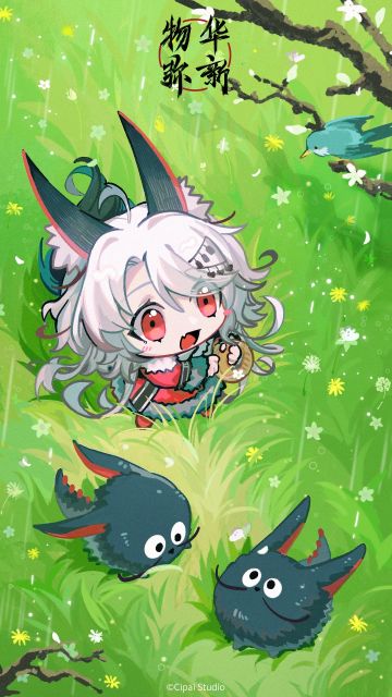 狸猫盘伤害参考