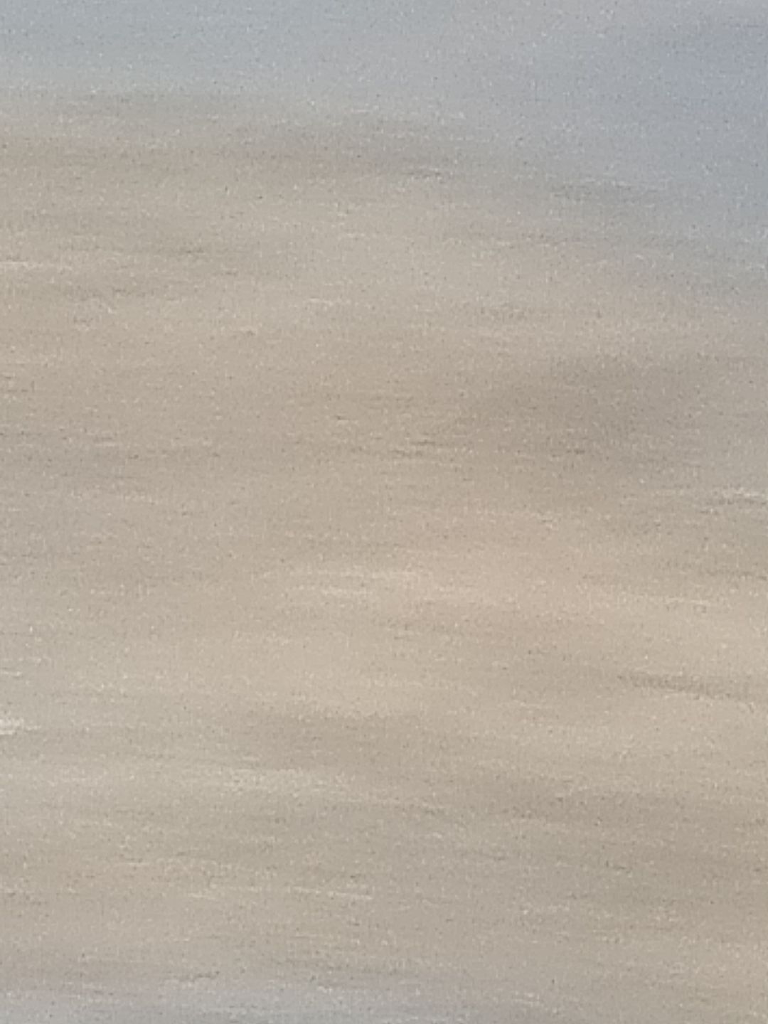 动态图片 4
