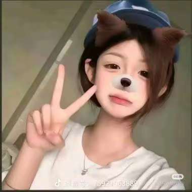 动态图片 13