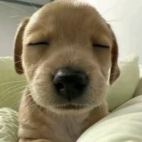 和自己的肝过不去了 2