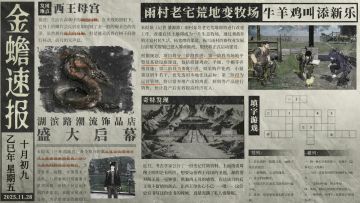 金蟾速报【农历十月初九期】