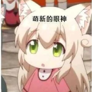 决定停止发布喜提贴 1