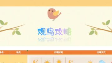 新手必看的观鸟攻略（优化版）