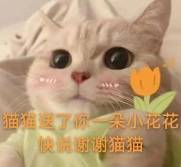 降温啦！降温啦！丨宠物介绍：蓝晶史莱姆