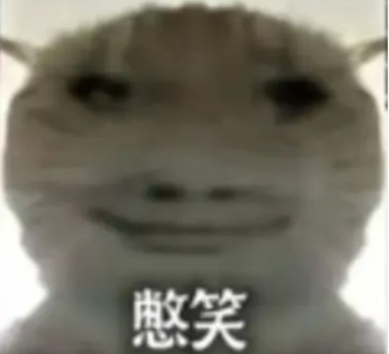 不出所料截图