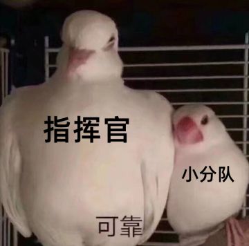 指挥官们久等啦，关于停服维护统一回复下~