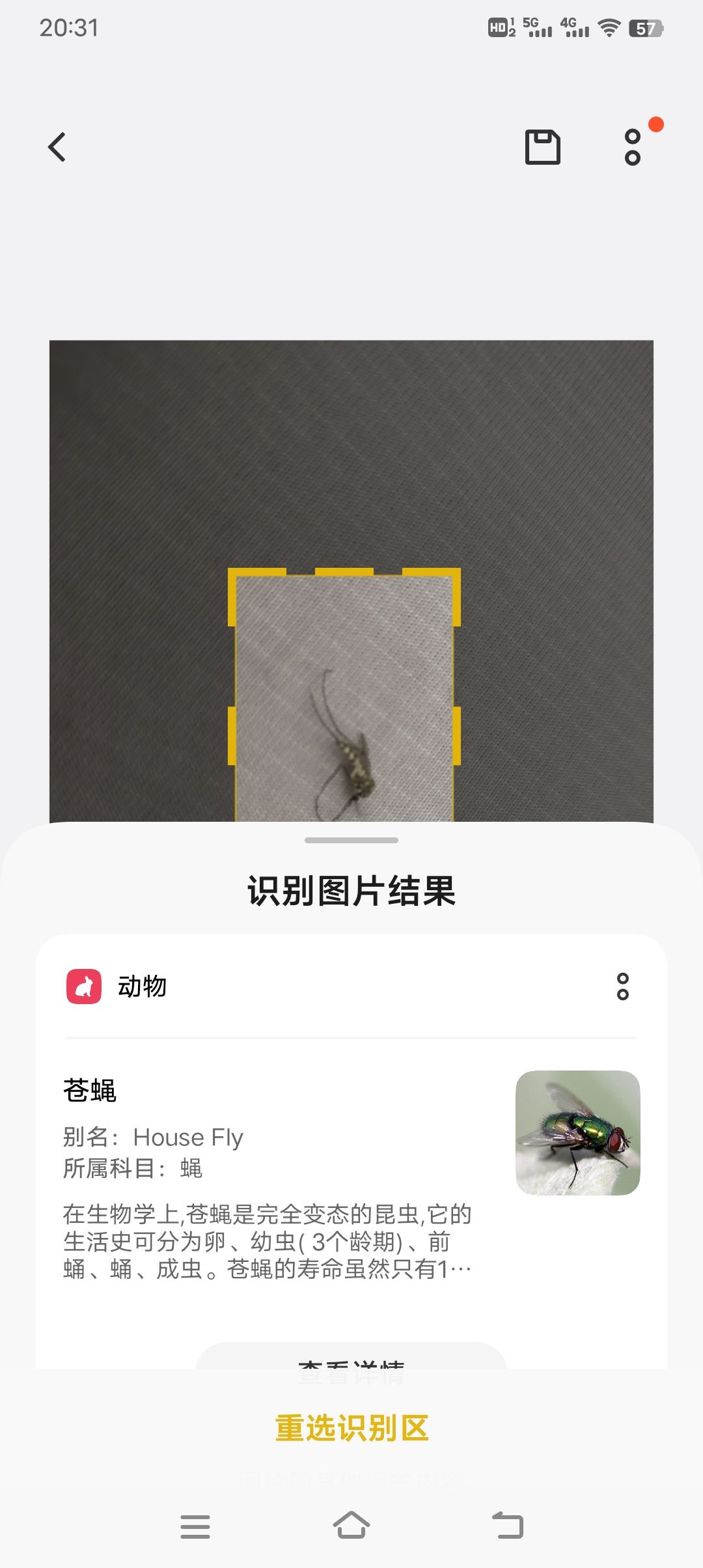 雷霆识别😡 2