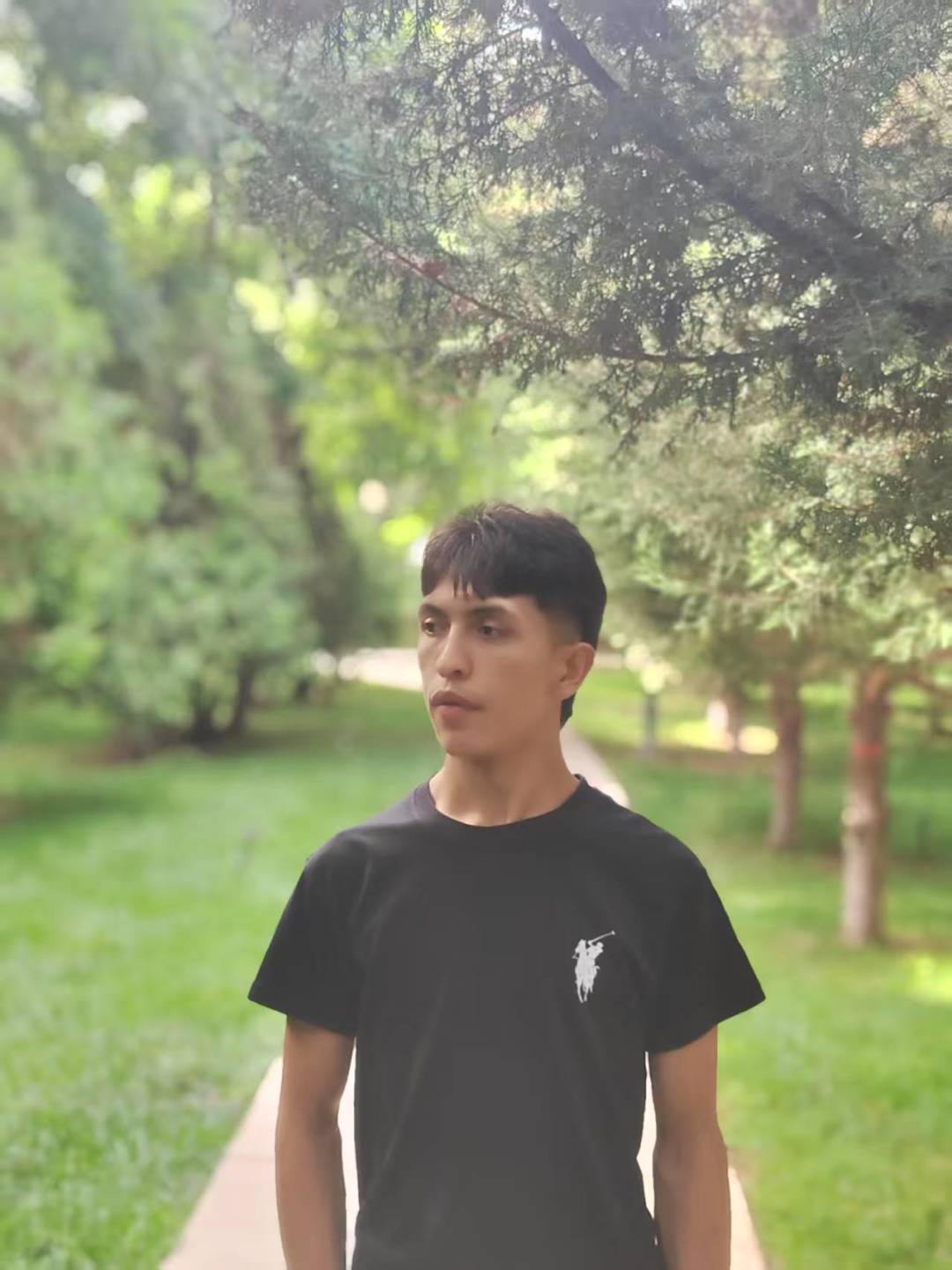 动态图片 5