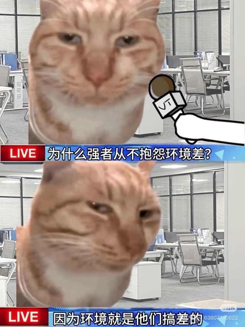 产能堪忧..1.2前瞻直播还没有消息截图