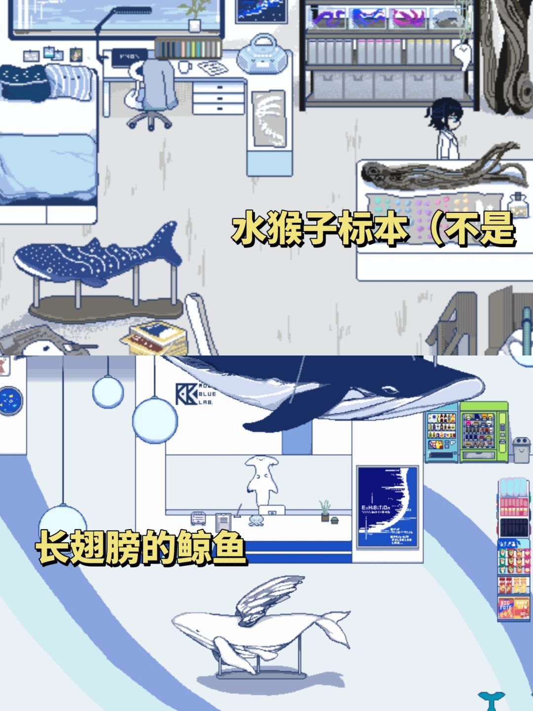 这辈子没玩过这么可爱的恐怖游戏❗ 6