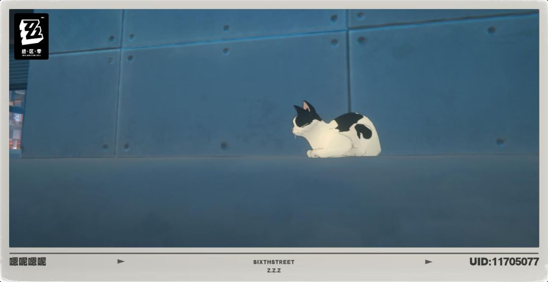猫猫猫 2