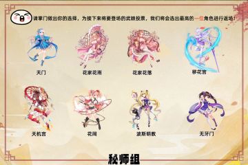 11月10日回归武娘角色投票--秘师组