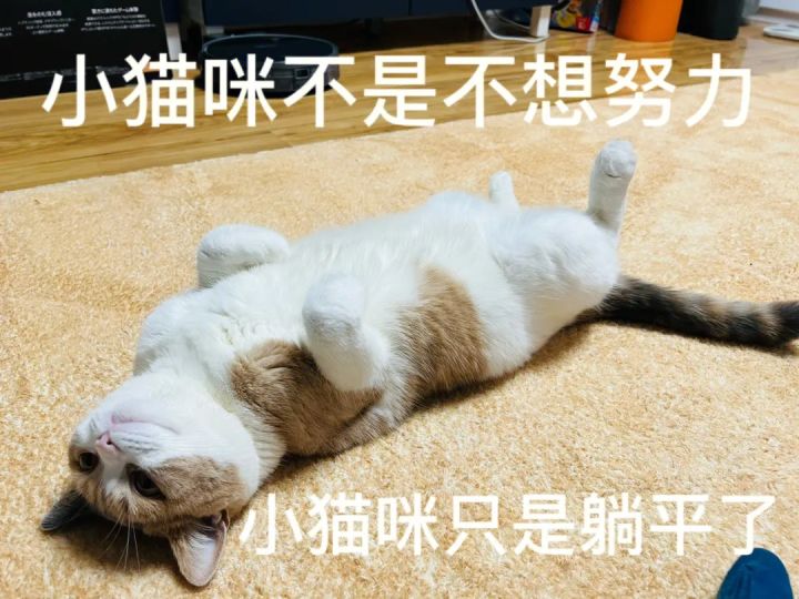 本来想拼一把,多拿点东西截图