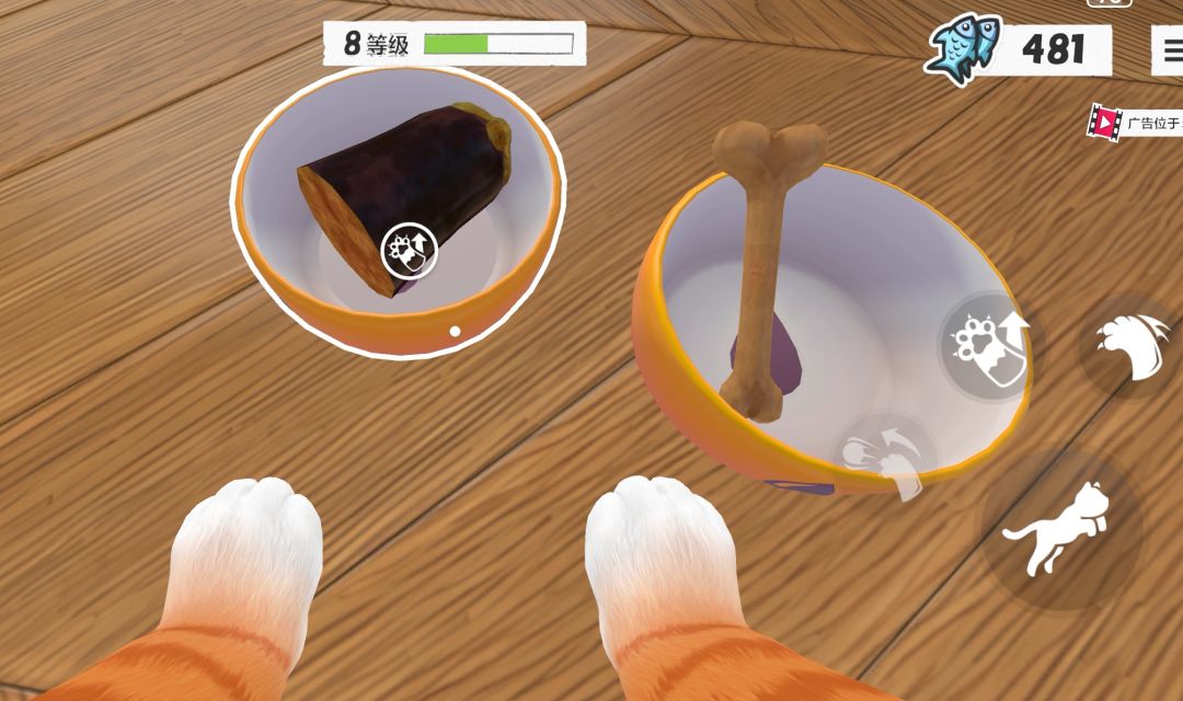 厨师猫 2