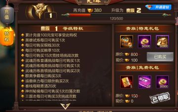 论VIP的支出与收益