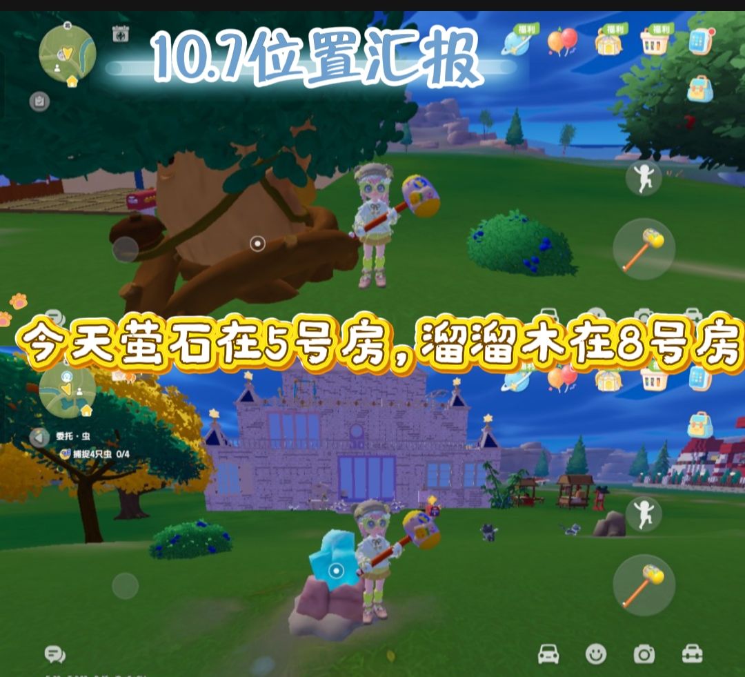 10月7日萤石和溜溜木攻略截图