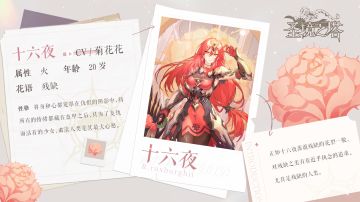 ✿花灵档案✿不相信人类的花灵 十六夜专属档案